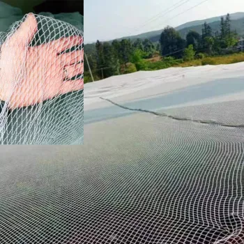 Vegetable Orchard HDPE Insect Net Greenhouse Mosquito Repellent