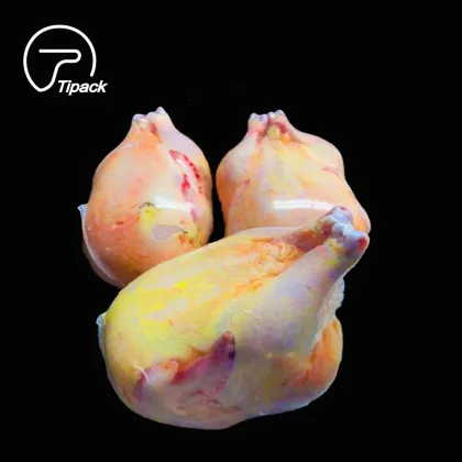 PA/PE Food Packaging Plastic Heat Shrink Wrap Bag