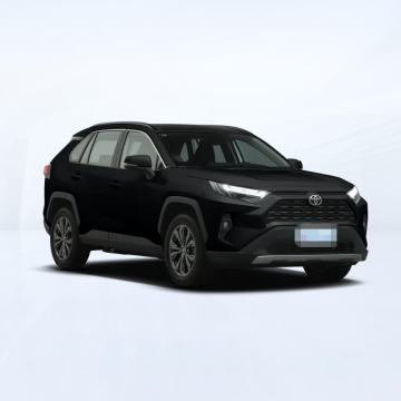 Factory Direct Price: Own Brand Economy Family 5-Seat SUV for Sale