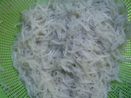 Frozen Small Silver Fish WR Hemisalanx prognathus Regan