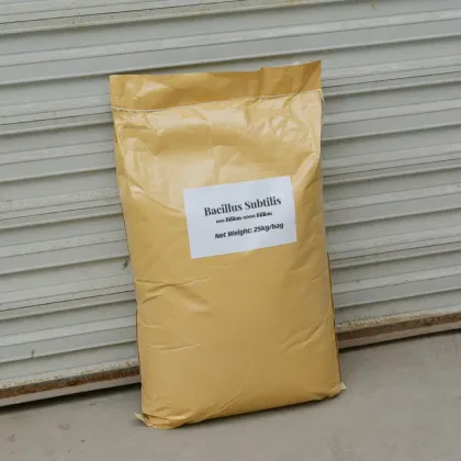 Water Soluble Bacillus Subtilis 100 Billion Probiotics