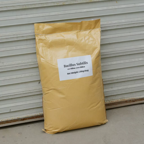 Probiotics Bacillus Subtilis Fermentation Free Sample Bacillus Subtilis 100 Billion cfug Powder Manufactory