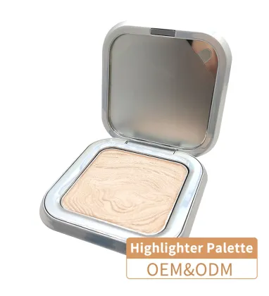 High Gloss Powder Perfect Makeup Concealer Palette