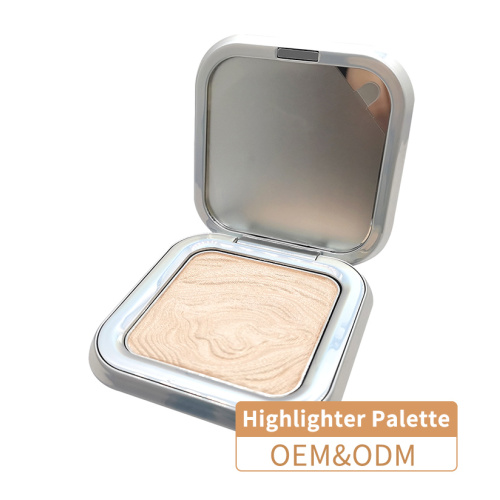 High Gloss Powder Perfect Makeup Concealer Palette