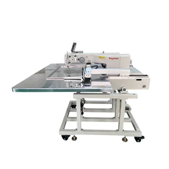 Raynian 6040G Programmable Electronic Purse Sewing Machine with High Quality Leather Shoes