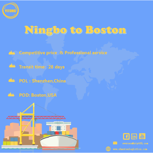 Servicio de carga oceánica de Ningbo a Boston