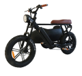 Gashebel Grizzly Downhill Electric Tricycle