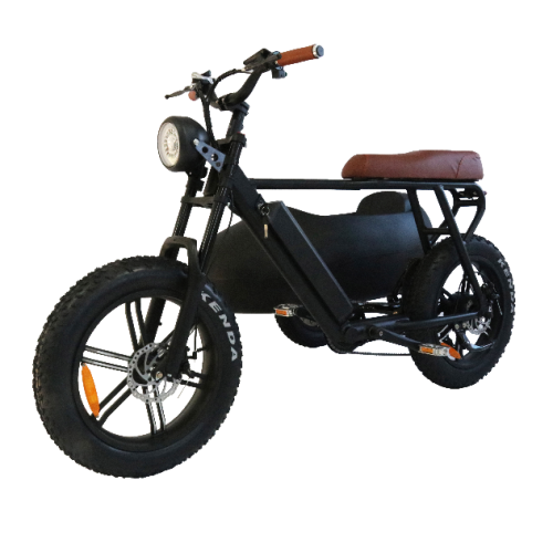 Gashebel Grizzly Downhill Tricycle elettrico