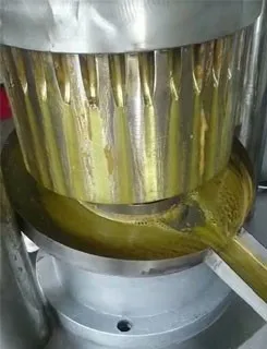 Small Home Use Olive Oil and Coconut Oil Machinery in the Market