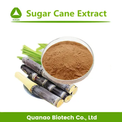 Sugar Cane Extract 10:1 Sugar Cane Juice Powder