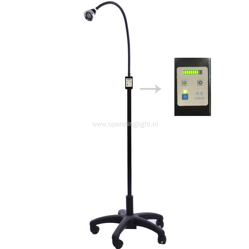 Mobile black multifunction examination light