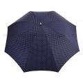 Main ouverte de parapluie pliant femmes Lace Hock