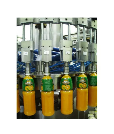 Orange and Lemonade Juice Production Line