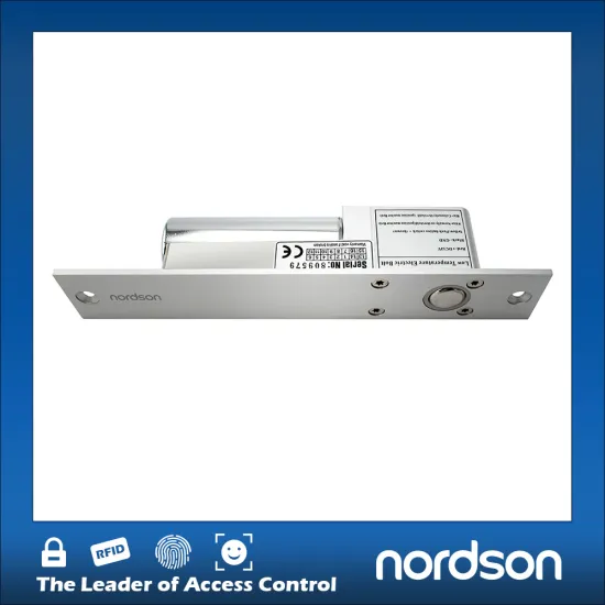 2PIN low temperature electronic keyless door lock ( NI-100A )