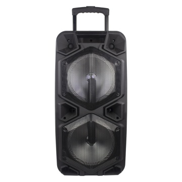 Temeisheng Big Power Bass Portable Amplifier with DJ Lights