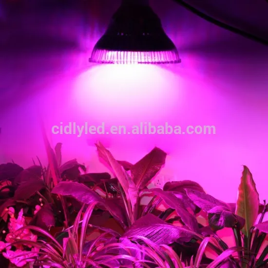 par38 grow led E27 base 36w led grow lamp for veg flower plants