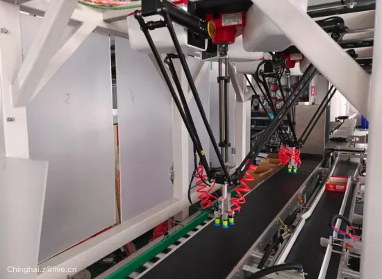 full automatic spider robot stand-up bag box case filling machine