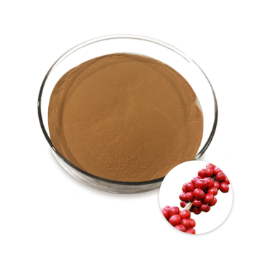 Schisandra Berry Extrait Powder