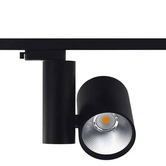 RONSE Permanent Aluminum Floodlight 40W 3500K White Silver Golden Zerund LED Track Light Wholesale
