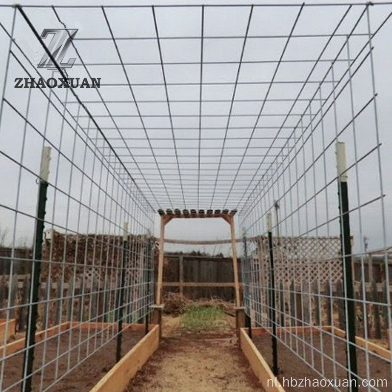 Lage prijs zelf producerende gegalvaniseerde gelaste draadgaas