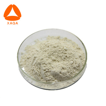 Bovine Prostate Extract Powder Animal Organ Extract