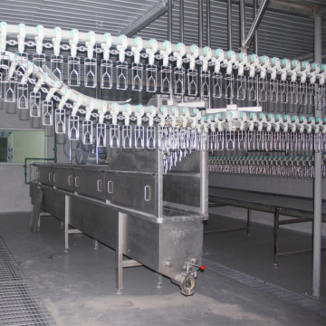 automatic quail processing equipment