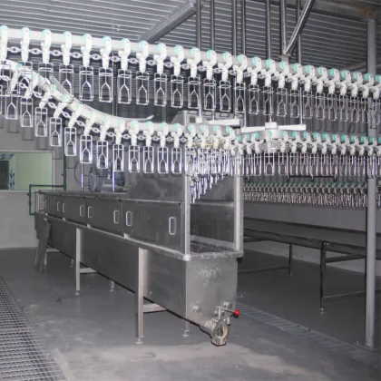 Quail bird processing equipment
