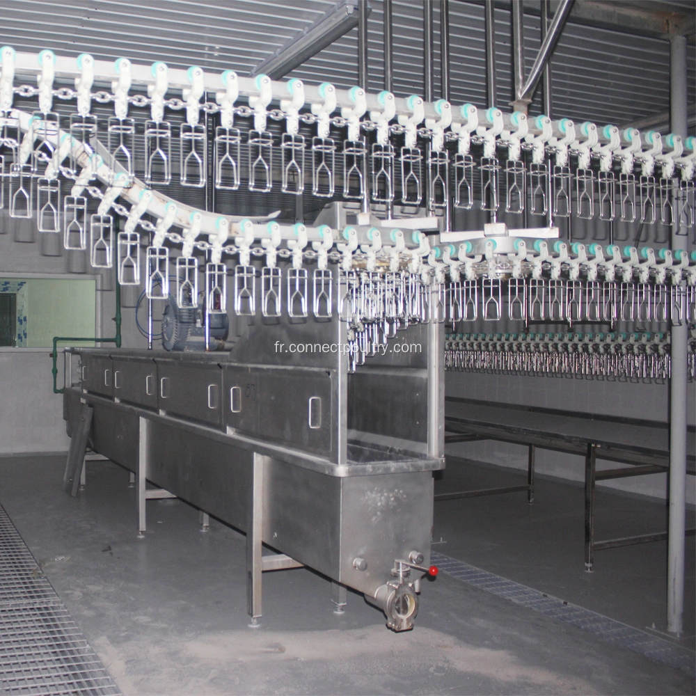 Poultry Farm Equipment