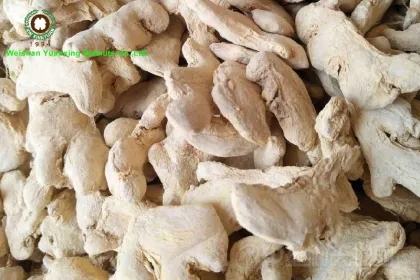 Chinese Dried Ginger whole