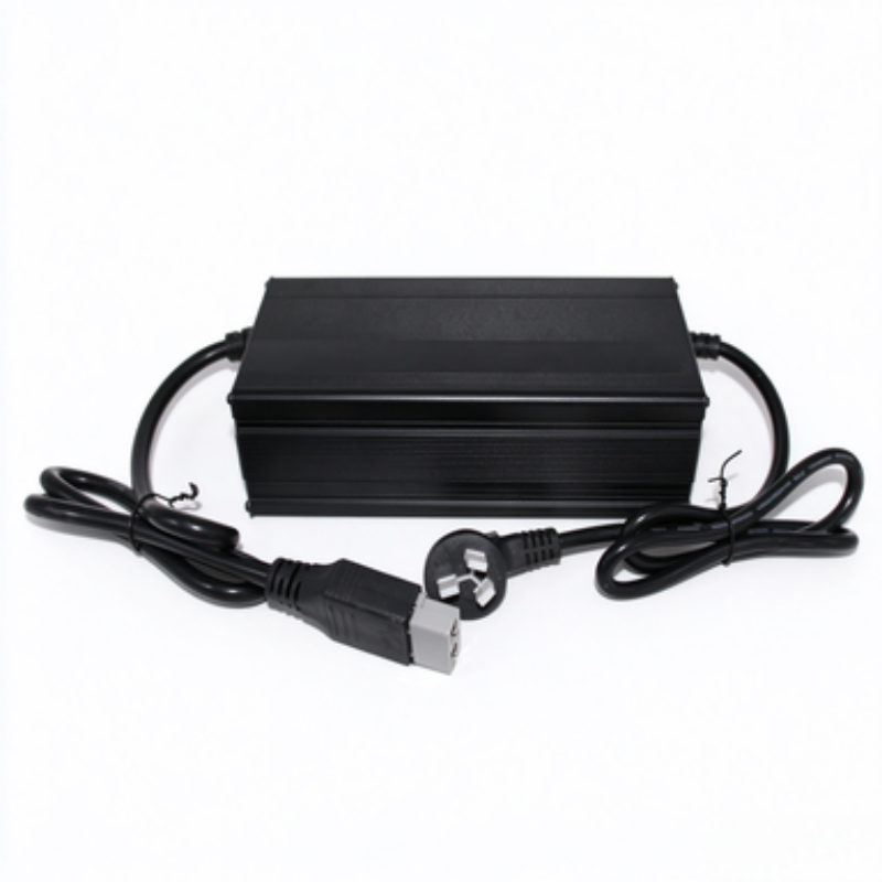 AC to DC aluminum battery charger 20A