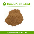 Chanca Piedra-extract / Phyllanthus urinaria L. Poeder