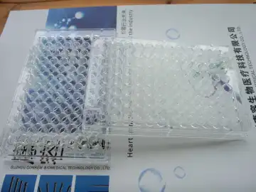 96 well plate with V bottom