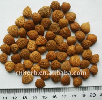 bitter apricot kernel/sweet apricot kernel