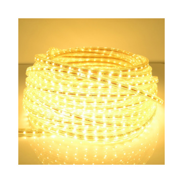 220V Waterproof IP68 LED Light Strip - High Quality Outdoor Decoration