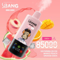 Pemimpin Vape Bang sekali pakai 85K Puff