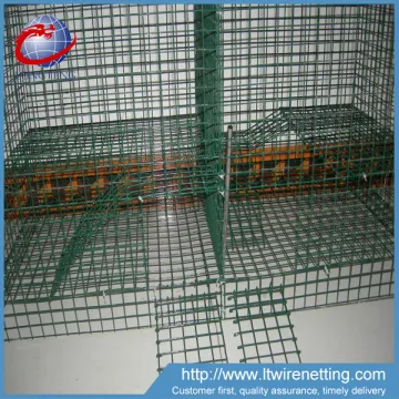 Welded wire mesh for pet cage / bird cage wire mesh / rabbit cage wire mesh materials Anping sale