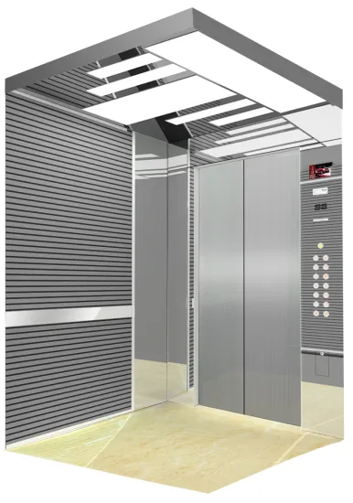 Machine Room Residential Elevator Capacity of 10-15 person