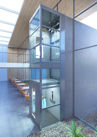 Home Elevator And Lift Products/External/Exterior