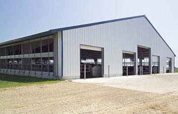 Light Steel Frame Structure for Cow Barn