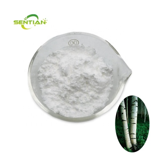 Anti-Cancer 98% Betulinic Acid Powder Top Quality