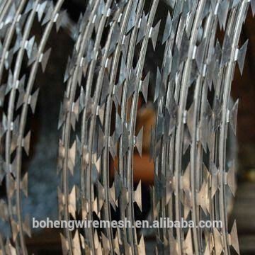 Galvanized all kinds of razor wire with competitive price