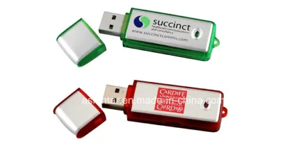 Plastic USB Flash Drive Thumbdrive USB Flash Drive