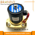 2W350-35 Buharlı Pirinç Solenoid Valf