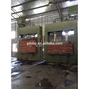 HSP 600t Hydraulic Hot Press Machine