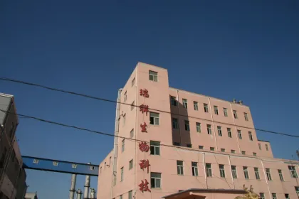 Wheat gluten for bread