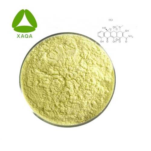 Oxytetracycline Hydrochloride HCL Powder 2058-46-0