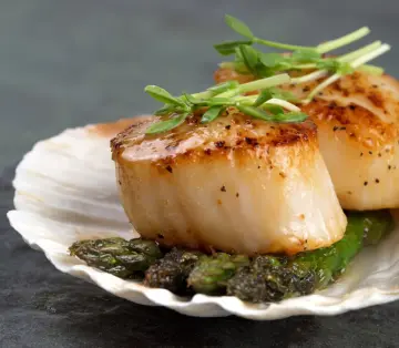 Hot Seliing Quality Dried Scallop Meat Scallops Column