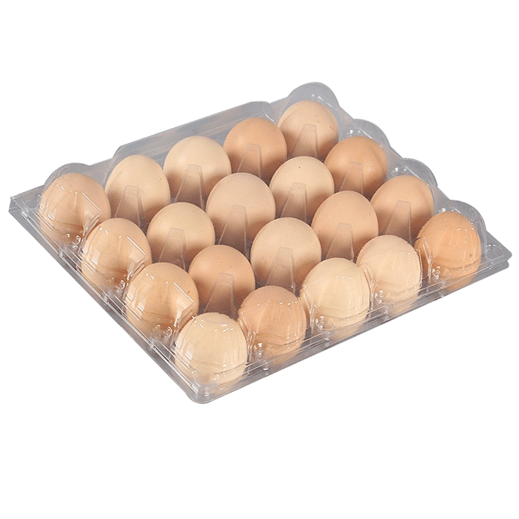 12 Holes Clear Egg Box Plastic Egg Tray