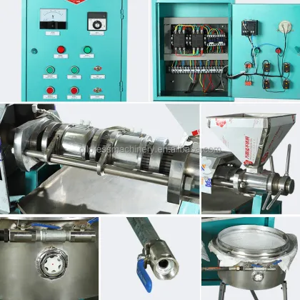 6YL125 Rapeseed Sunflower Seed Oil Press Machine - Oil Extraction Equipment