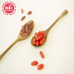 Dinh dưỡng cao Trung Quốc Herb thấp thuốc trừ sâu Goji Berries